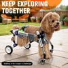 LetPetRun Dog Wheelchair 4 Wheels Adjustable, Full Body Support Dog