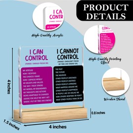 Things I Can't Control Office Decor Sign, Motivational Office Acrylic Sign, Mental Health Gifts for Woman Friends Therapist Office Art Decorations Desk Accessories Table Shelf Plaque Signs Decor