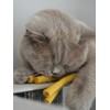 MEWOW 5 Felt Fries Cat Toy PAW Frites Pure Virgin
