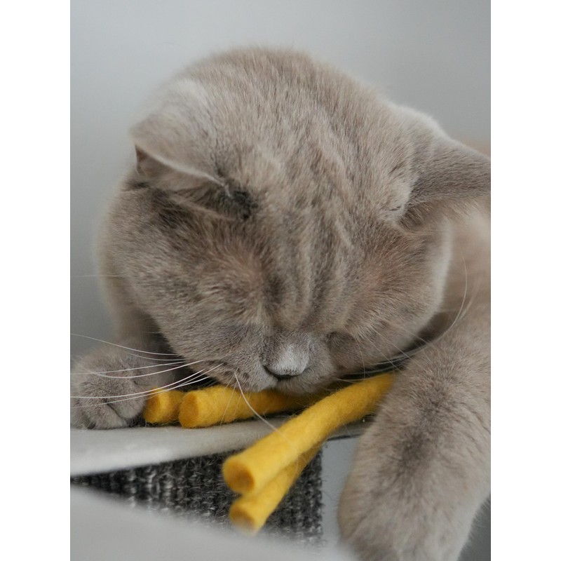 MEWOW 5 Felt Fries Cat Toy PAW Frites Pure Virgin