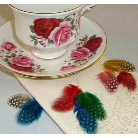 Pretty-Plumes Mixed Spotted Guinea Hen Feathers Neck Body Plumage Smallies Jewelry 2" 40 Pc