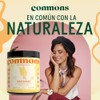 Commons Adaptógenos - Hongo Shatavari - Extracto Puro en Polvo