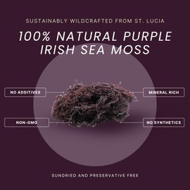 Red's Kitchen Sink Purple Sea Moss – Wildcrafted from St. Lucia | 16oz Makes ~200oz Sea Moss Gel | 100% Natural & Raw | Supports Daily Wellness | Irish Moss