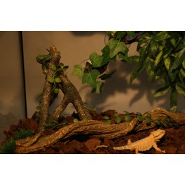 AQUA KT Reptile Corner Branch with Green Leaves Terrarium Desert Habitat Decoration for Lizard Snake Bearded Dragon Chameleon Hermit Crab Leopard Gecko Amphibian Climbing