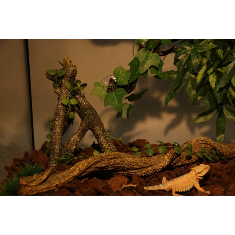 AQUA KT Reptile Corner Branch with Green Leaves Terrarium Desert