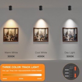 SUNMEIYI LED Dimmable Ceiling Spotlight 12W 3CCT 3000K/4000K/5000K Adjustable Indoor Directional Spotlight Fixtures for Room Living Hallway Gallery Art Light,CRI93 1200LM (Black)