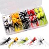 Complete Fly Fishing, Bristle Flies with Case, 5 Colors, Set