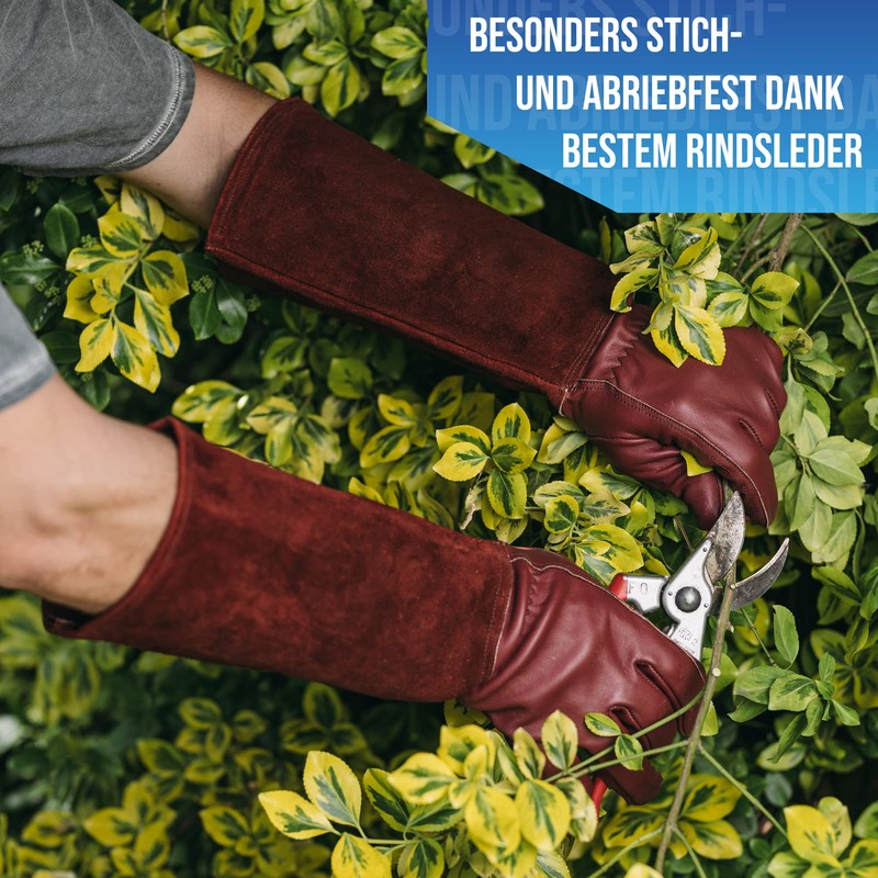 LAUTER SCHUTZ ® Thorn-proof cowhide leather gloves with back seam