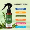 Botanic Hearth Advanced Rosemary Water Spray For Hair Growth With
