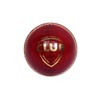 SG club cricket Ball Leather(Red) Standard Size