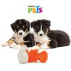 Fancy Pets Juguete Dental Hueso/Pescado, Entrelazado