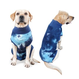 KIKNIN Recovery Suit for Dogs After Surgery, Post Spay, Neuter, Body Suit for Male and Female Dogs, Abdominal Wound Puppy Surgical Clothes, Prevent Licking Dog Onesies Post-Operative Vest (Blue, 3XL)