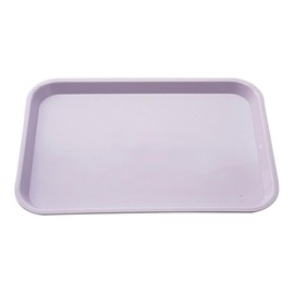 EASYTODENTA Autoclavable Dental Dentist Instrument Tray Plastic Procedure Flat Tray 13.39''x 9.45''x0.87'' (Purple)