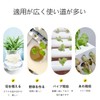 [LUYING] 水耕栽培鉢 30個セット 定植かご プラスチック 広く使用する 水耕栽培ポット 円筒形 有機栽培 植木鉢の定植