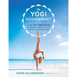 The Yogi Assignment