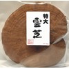 国産 特大 霊芝 200g 大きい 肉厚 れいし レイシ (200ｇ×1）きのこの石原産業