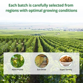 NatureBliss Golden Raisins, 11 ounce, Gluten-Free, Kosher, Non-GMO, Vegan, Dried Fruits, Naturally Sweet, No Added Sugar, Seedless,Fruity Topping & Inclusion, Ideal for Baking