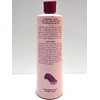 Designer Touch - Curl Set Neutralizer - 16 oz VINTAGE
