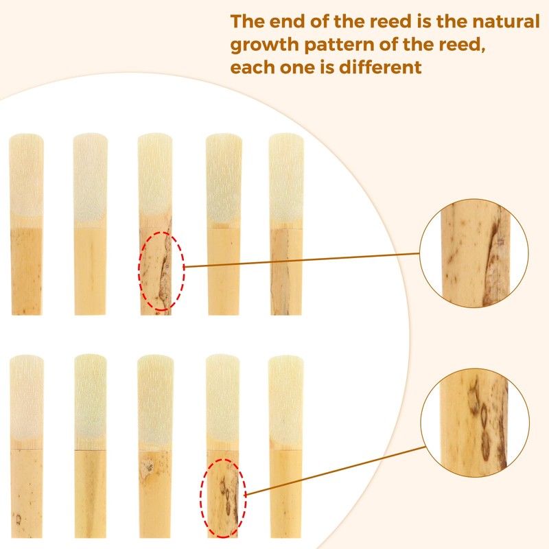 EASTROCK Thick Clarinet Reeds Strength 3.0,Pack of 10EASTROCK Thick Clarinet