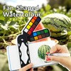 kander 30 Color Watercolor Paint Set with Detail Paint Brushes