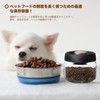 Vacuum Canister, Coffee, Vacuum Canister, Vacuum Storage Container, Antioxidation, Moisture
