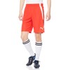 Puma 705151 Men's Soccer Half Pants, TEAMLIGA Game Pants, 24