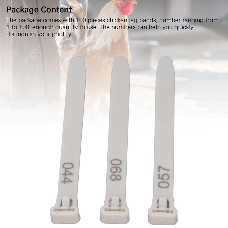 Generic Chicken Leg Rings, 1 to 100 Numbered Poultry Identification