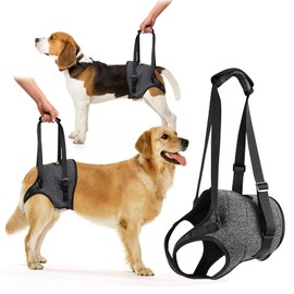 taotaole Dog Lifting Harness Leg Support for Back Slings for Small Medium Large Dogs Leg Brace Adjustable Lift Harness Hind Leg Dog Support Strap for Injured Disabled Elderly Dogs Walking Aid (L)