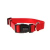 Doodlebone Dog Collar, Ruby, 3-6