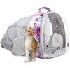 Back Expandable Cat Backpack Carrier, Fit up to 12 lbs,