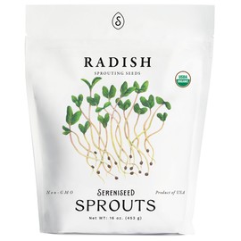 Organic Radish Sprout Seeds (16 oz) – Non-GMO, Heirloom Seeds for Sprouting and Microgreens