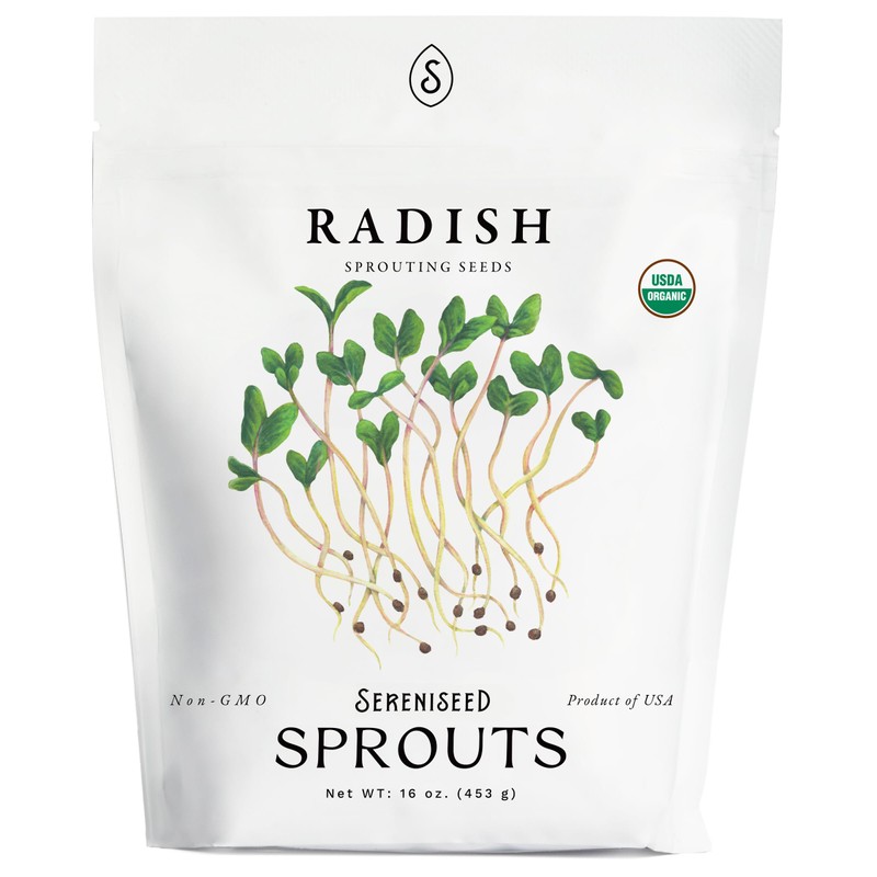 Organic Radish Sprout Seeds (16 oz) – Non-GMO, Heirloom Seeds