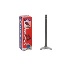 DNJ IV624A Intake Valve for 1998-2004 / Nissan/Altima, Frontier, Xterra / 2.4L / DOHC / L4 / 16V / 2389cc / KA24DE