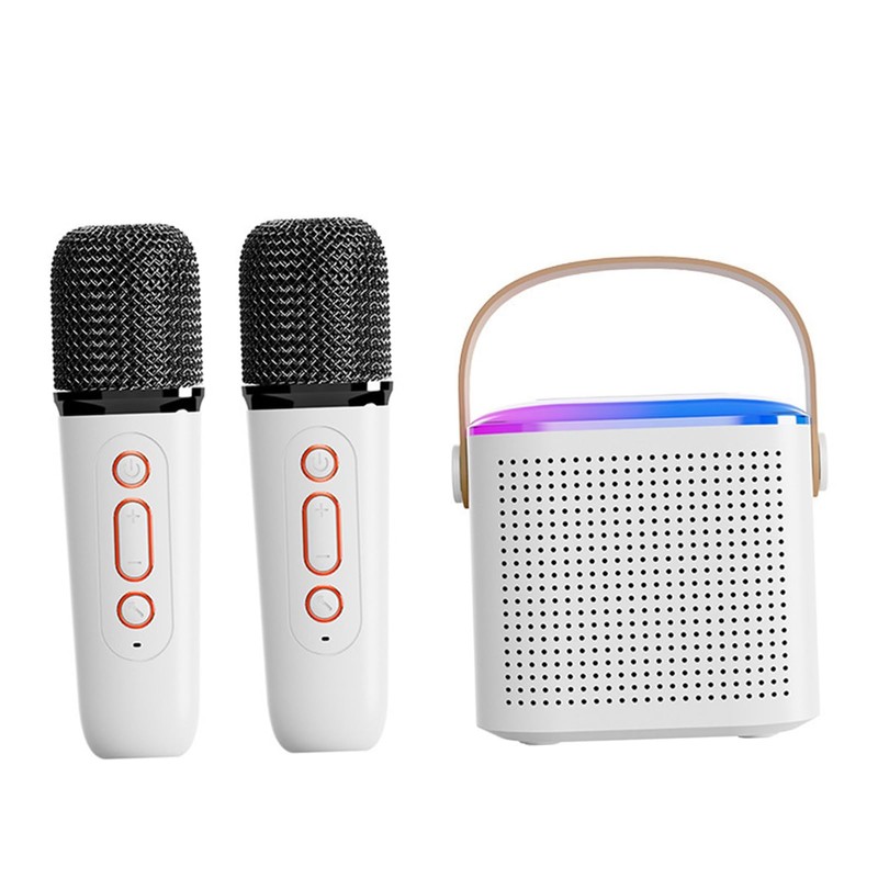 Karaoke Machine, Portable Bluetooth Speaker with Microphones for Adults and