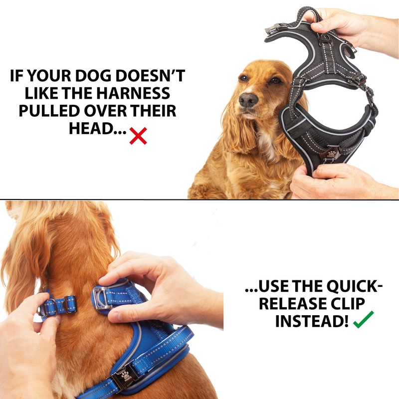 Elite Paws® UK: Premium Metal Buckle Dog Harness, Strong, Safe,