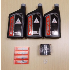 New 2004-2013 Honda VT 750 VT750 Shadow OE Basic Oil Service Tune-Up Kit