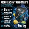 Creatina + Electrolitos, Vitaminas Testo Rocket Blue Ice