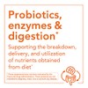 NOW Supplements, Probiotic-10™ Powder, 50 Billion, with 10 Probiotic Strains,