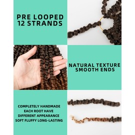 10 Inches 2 Packs Passion Twist Crochet Hair for Black Women and Kids-3 Tones Ombre Black to Brown Blonde, Pre Looped Pretwisted Crochet Hair,Soft Lightweight Hair Extension(10"-2 Packs,T1B/30/27)