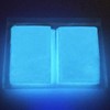 Luminous Powder (Luminous Powder) G X 10 Bag Set whites