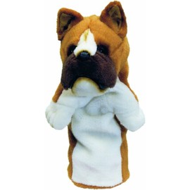 Daphne's Novely Headcover - Boxer