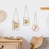 Double Glass Frame for Pressed Flowers - w/Real Dried Flowers