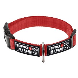 Dogline Omega Nylon Collar for Dogs with 2 Removable Service Dog in Training 3D Rubber Patch Patches (Red, 14"-18")