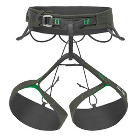 Salewa Agner Men's Strap, Green, M