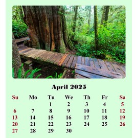 2025 CD-Style Desk Calendar 12 Months Calendar/Planner/Desk Calendar With CD Case Stand, Office Decor, Christmas Gifts (National Parks)
