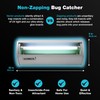 Catchmaster Pro Series Flying Insect Light Trap Replacement Board 5-PK,