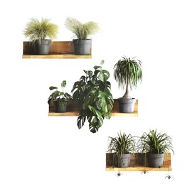 Maydahui Creative Green Pot Plants Leaves Wall Decals 3D Bonsai Tropical Plant Wall Sticker (34 x 31 Inch) Peel Stick Removable Nature Art Mural Decor for Office Home Living Room Bedroom