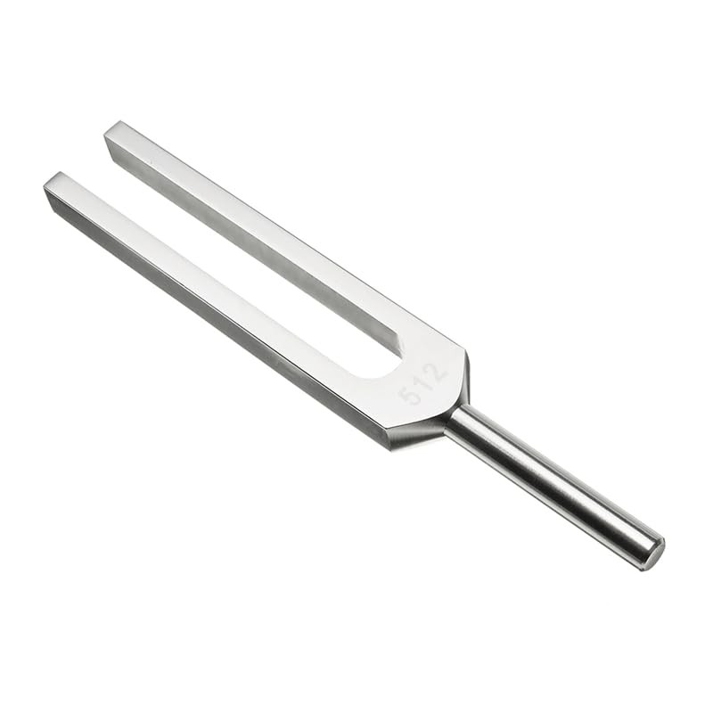 2Pcs 256Hz, Stainless Steel Tuning Forks Tone Tool for Musical