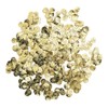 2000Pcs Belly Dance Coins Exquisite Sequins Pendants Clothing Accessories for