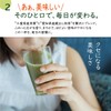 緑茶スティック粉末 ChieX緑茶 抹茶 大容量100包トリゴネージ テアニン カテキン 国産 コーヒー由来トリゴネリン入り緑茶 パウダースティック 1.5g×100本
